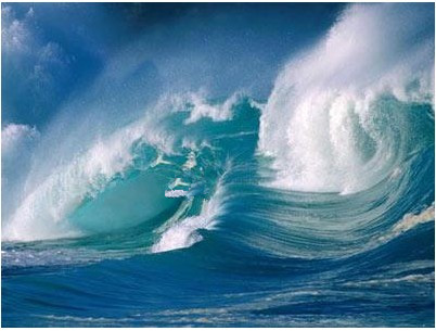 �����ŵ����2015