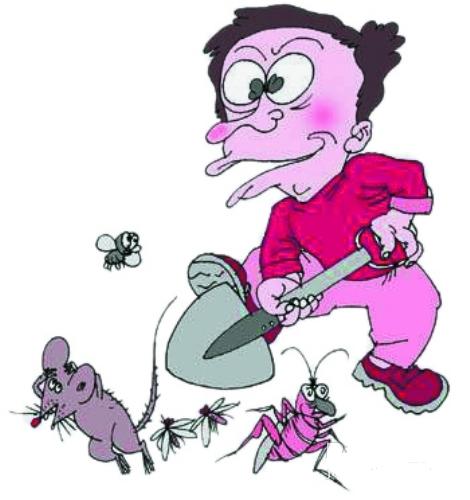 ��ĩ�ĳ�����������̲��ݻ�